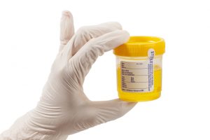 best fake urine 2017