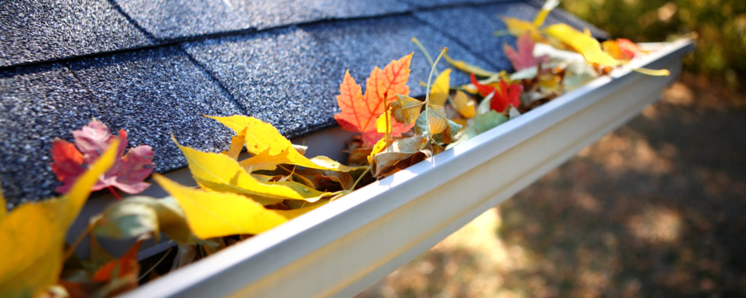 Clean your roof without any spots by contacting us with the information on our website.