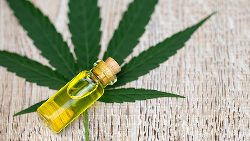Some Basic Facts of THC oil and Cannabis